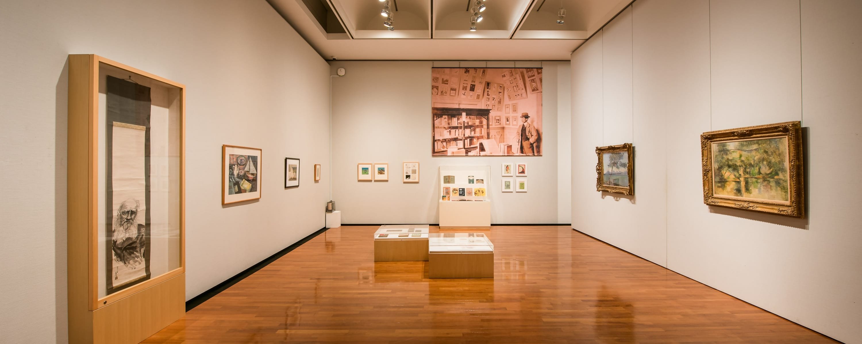 🏛️ 에히메 대학 박물관 (에히메 다이가쿠 뮤지아무) 이미지 6